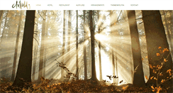Desktop Screenshot of hotel-am-wald.de